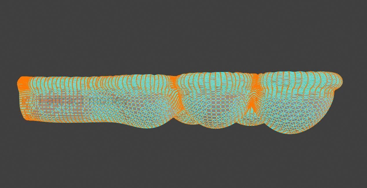 3D Model of Mammary Gland 3D model_7