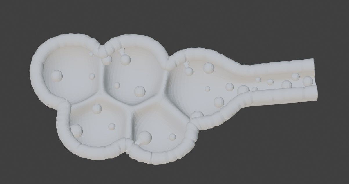 3D Model of Mammary Gland 3D model_4