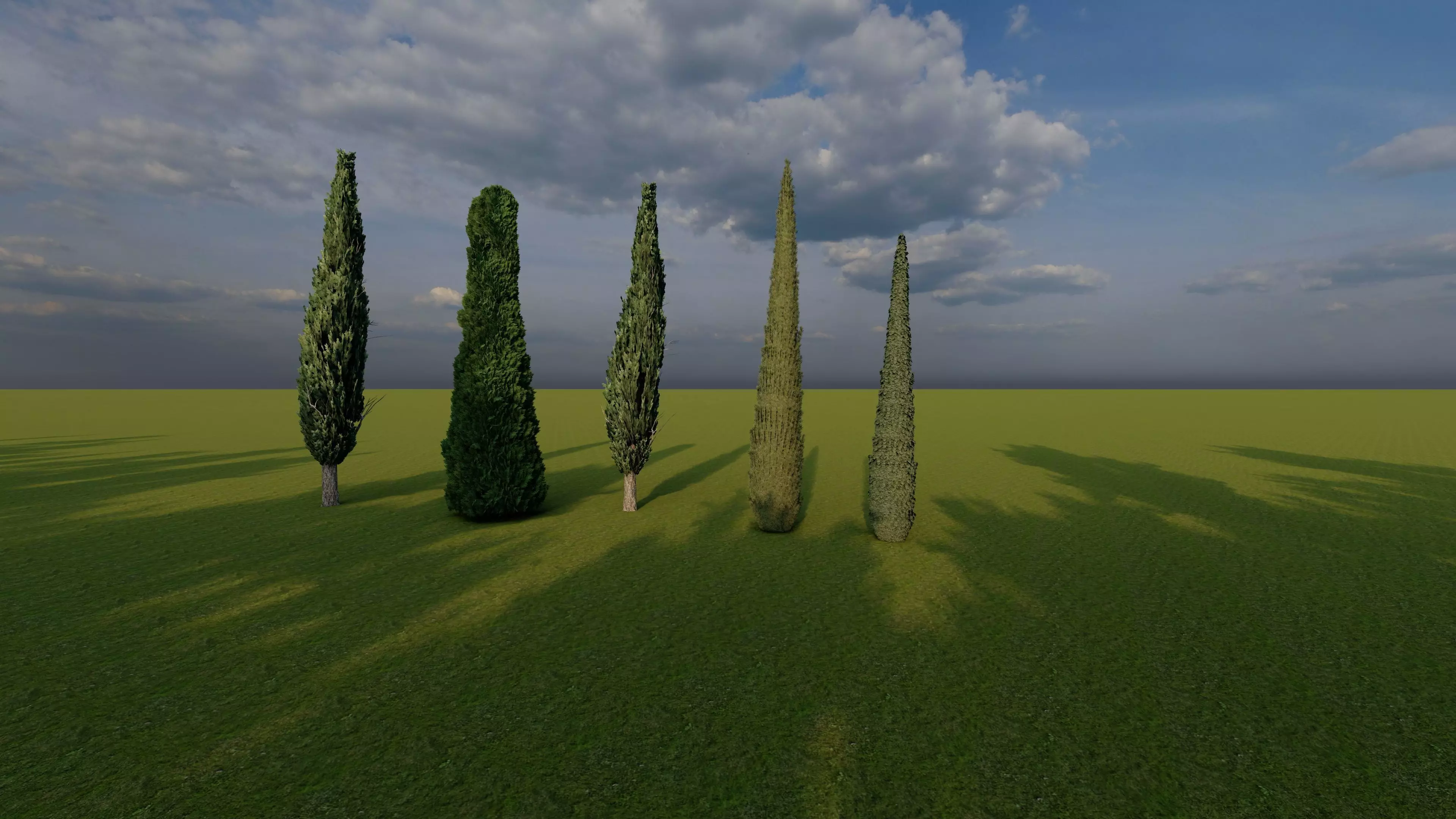 light Free 3D model