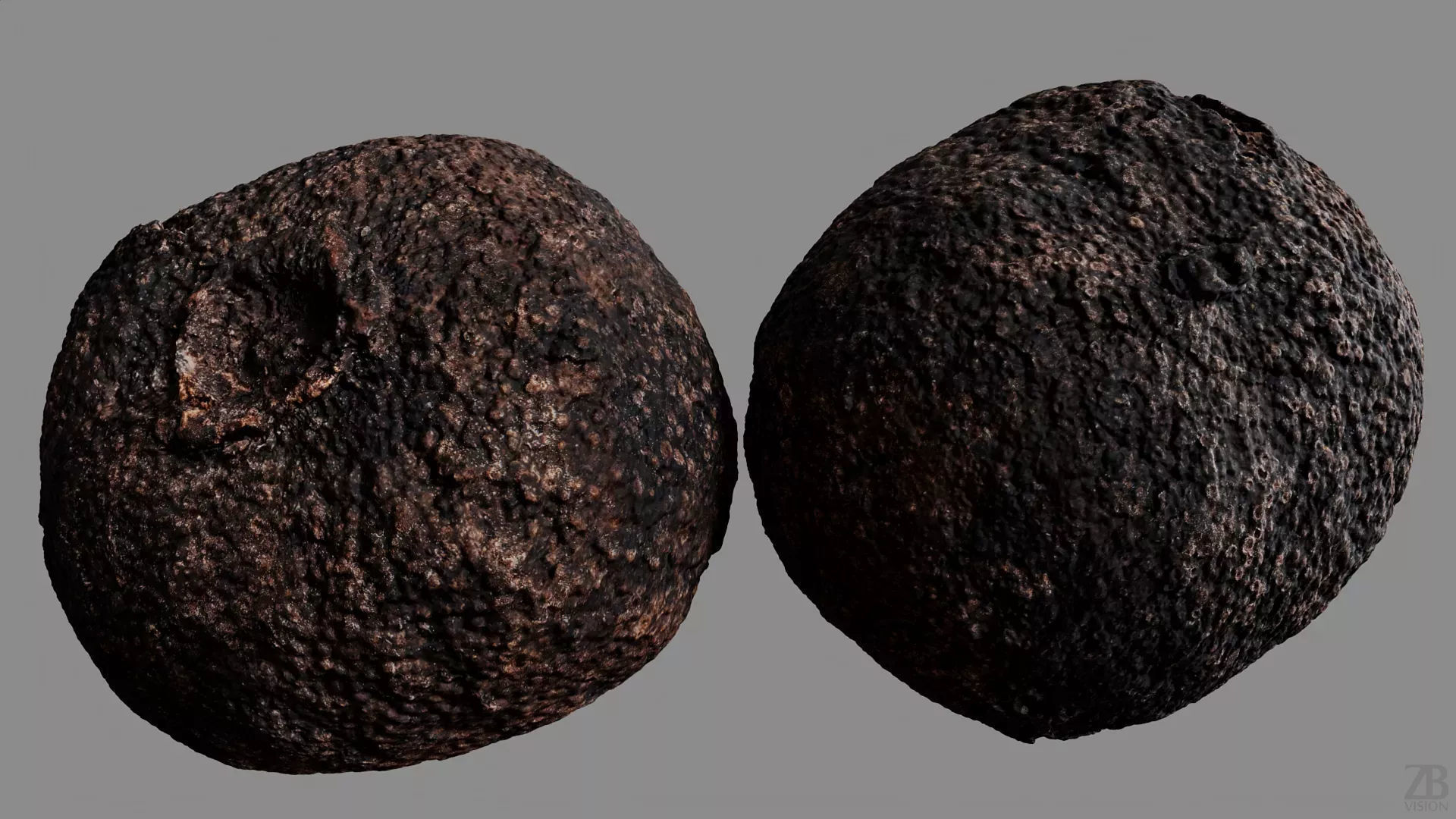 Allspice 3D model_8