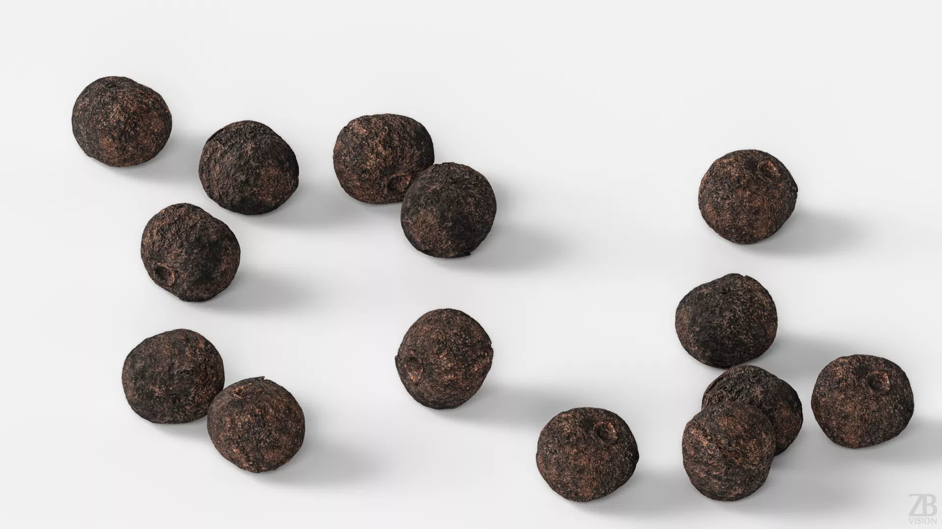 Allspice 3D model_2