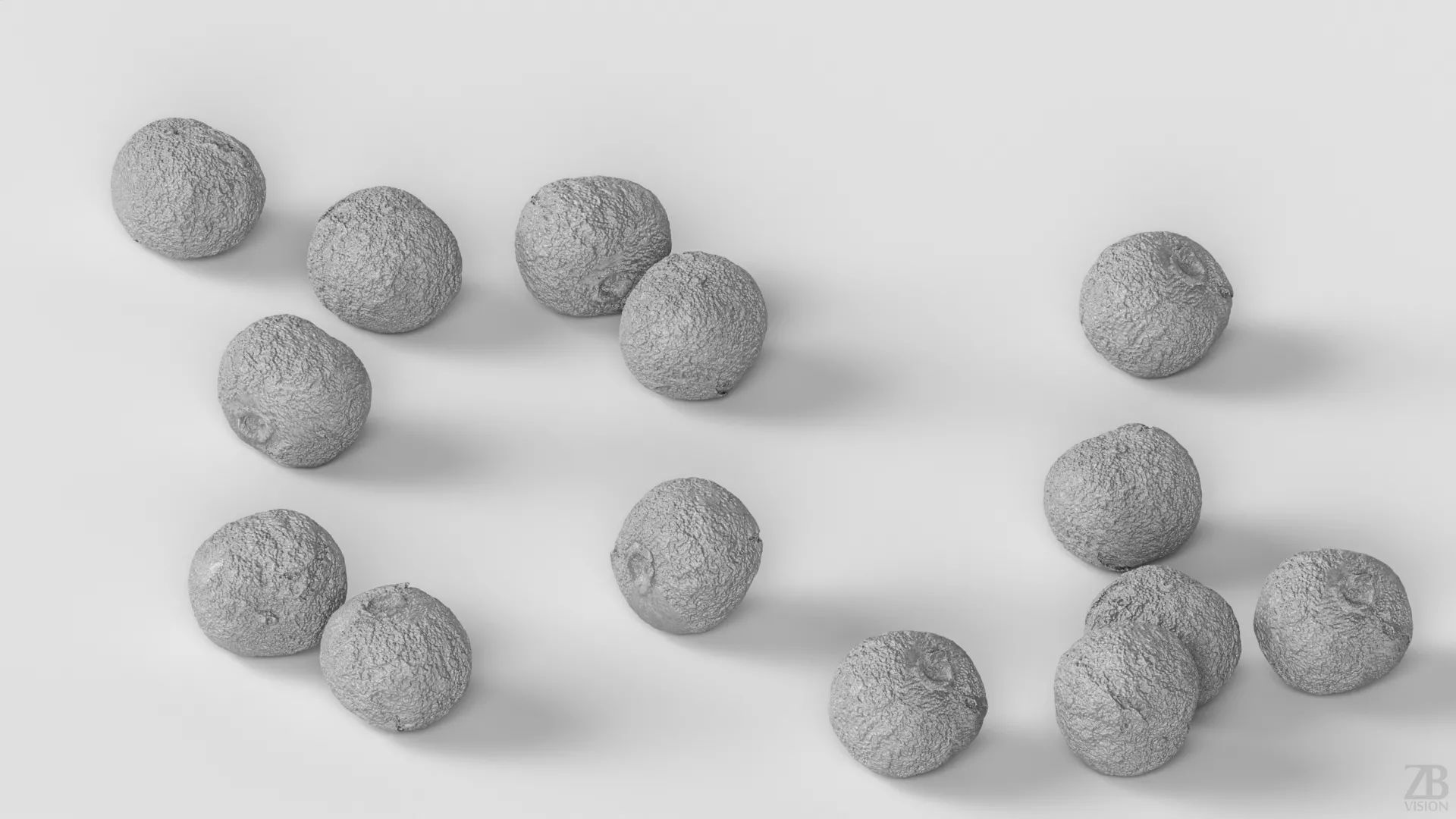 Allspice 3D model_3
