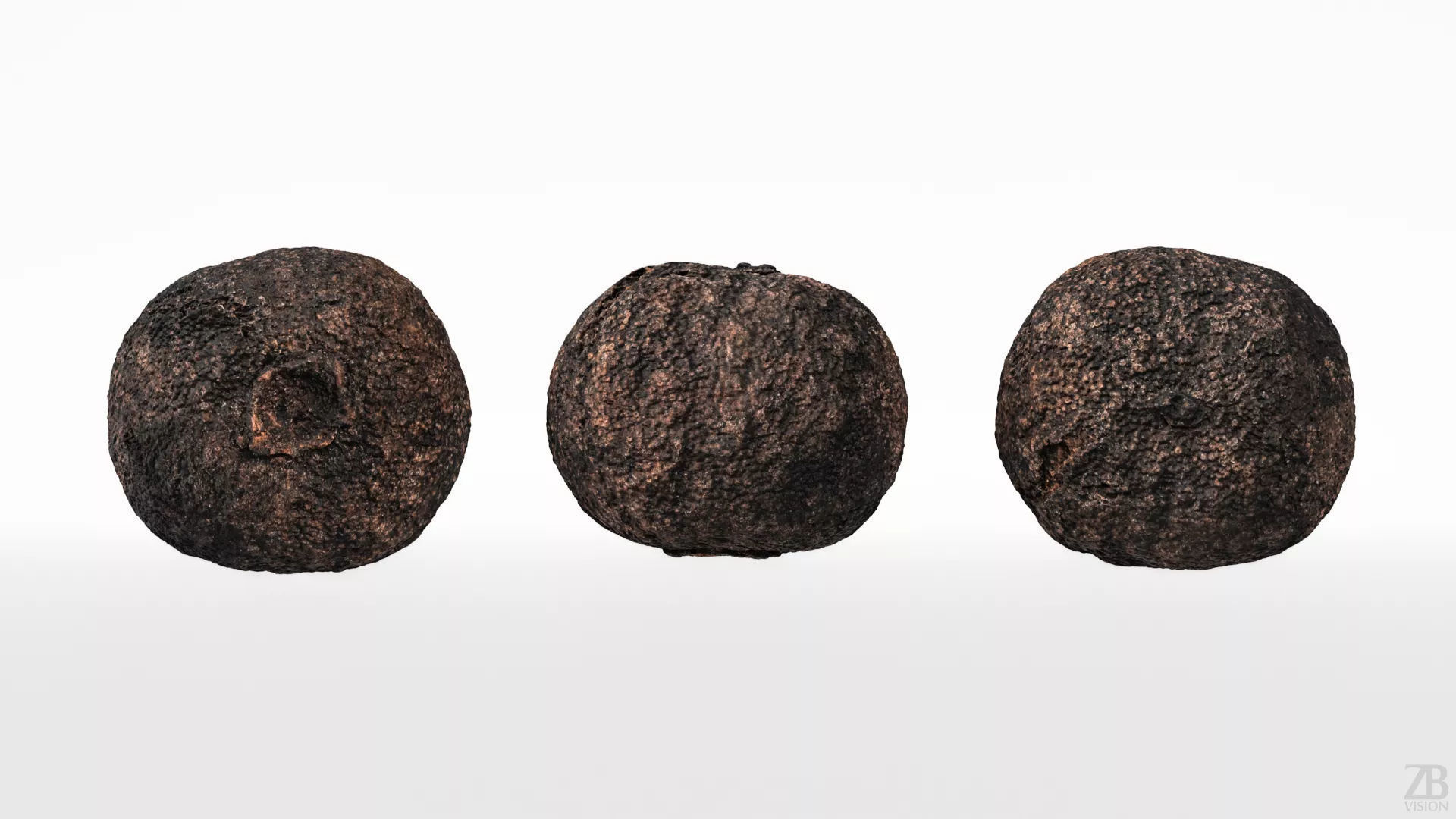 Allspice 3D model_4