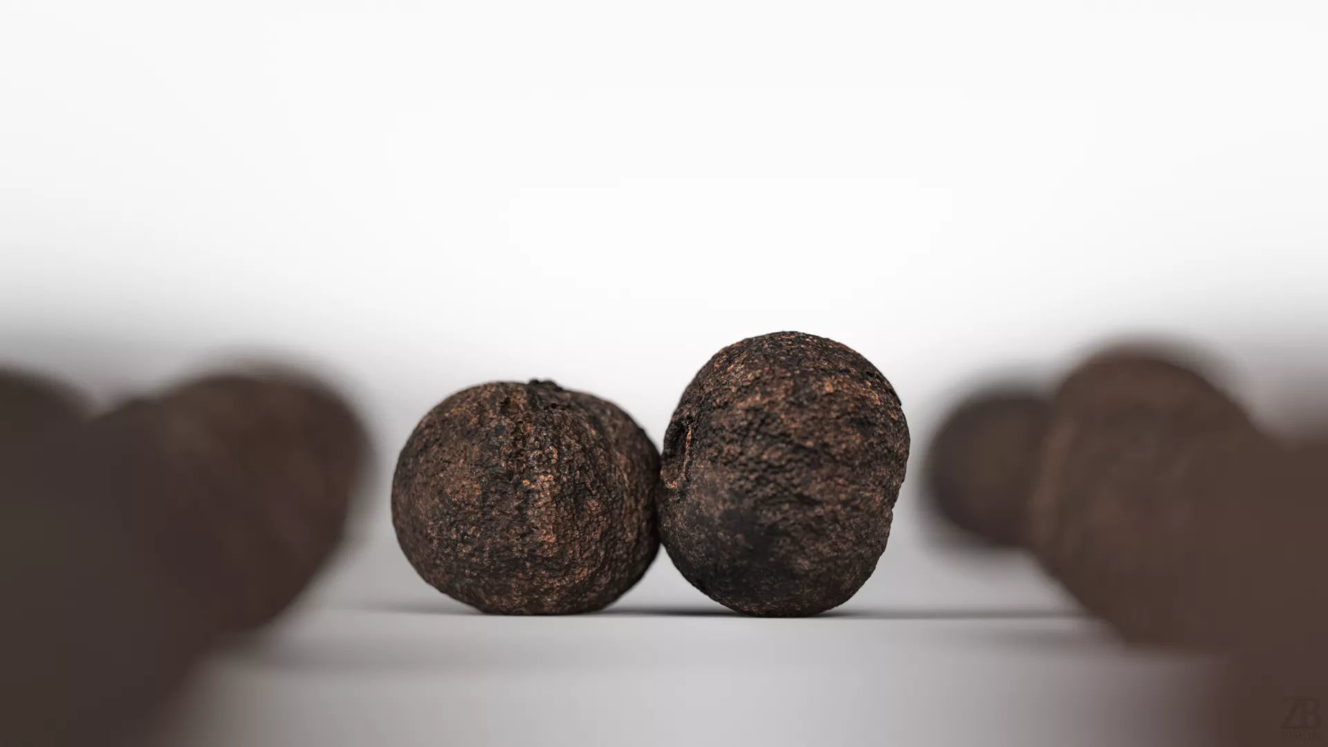 Allspice 3D model_1