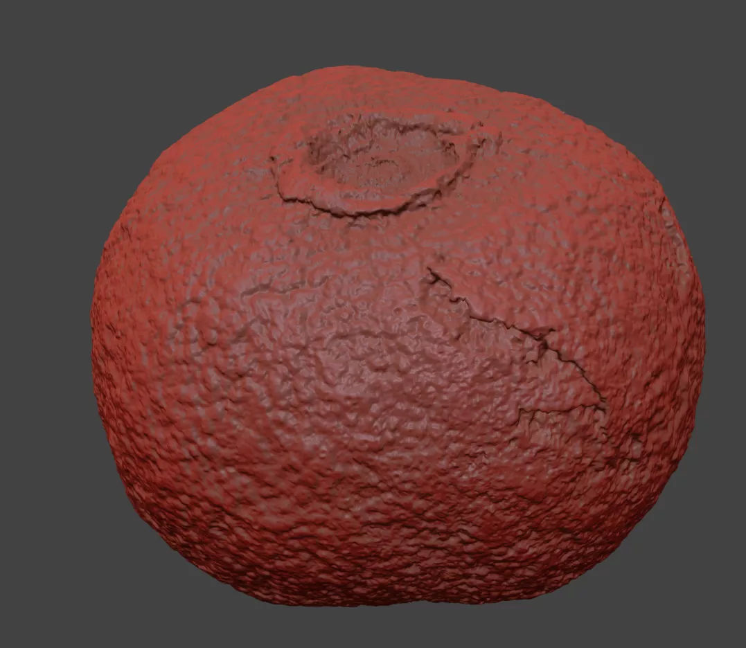 Allspice 3D model_7