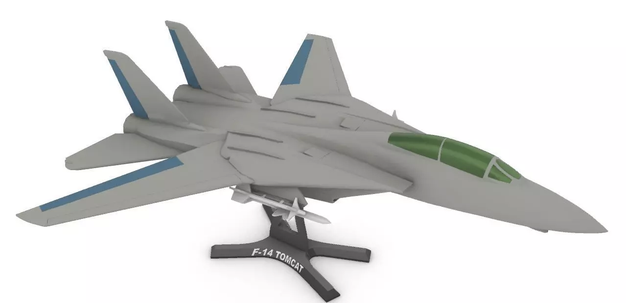 F-14 Tomcat 3D print model_0