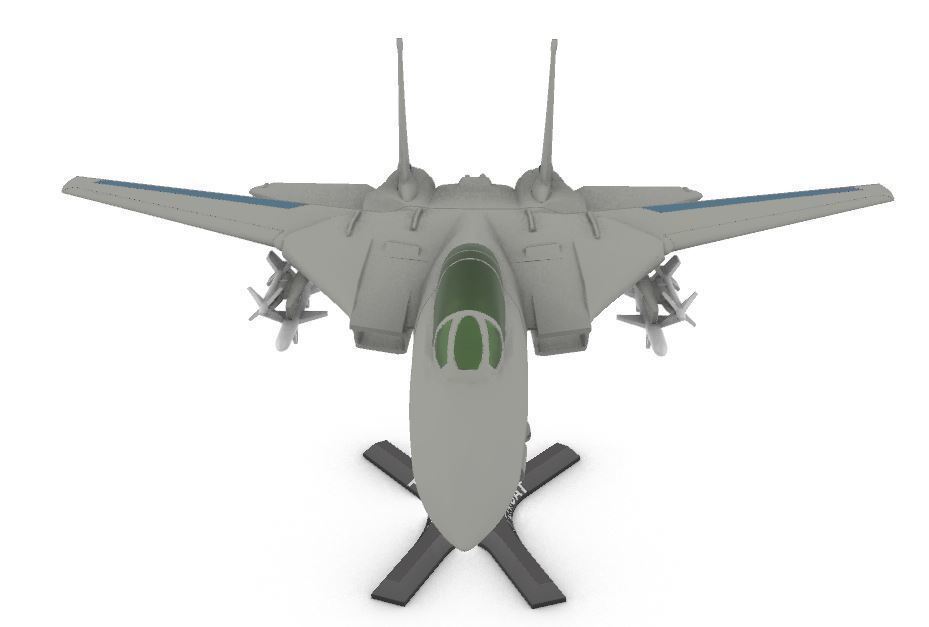 F-14 Tomcat 3D print model_2