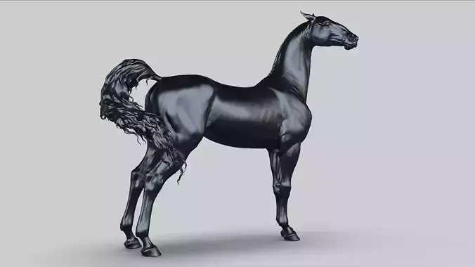 Akhal-Teke horse I 3D Sculpting 3D print model