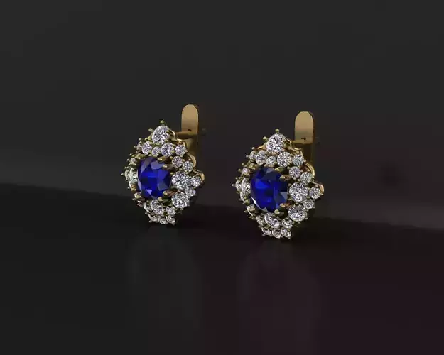 Classic Earrings
