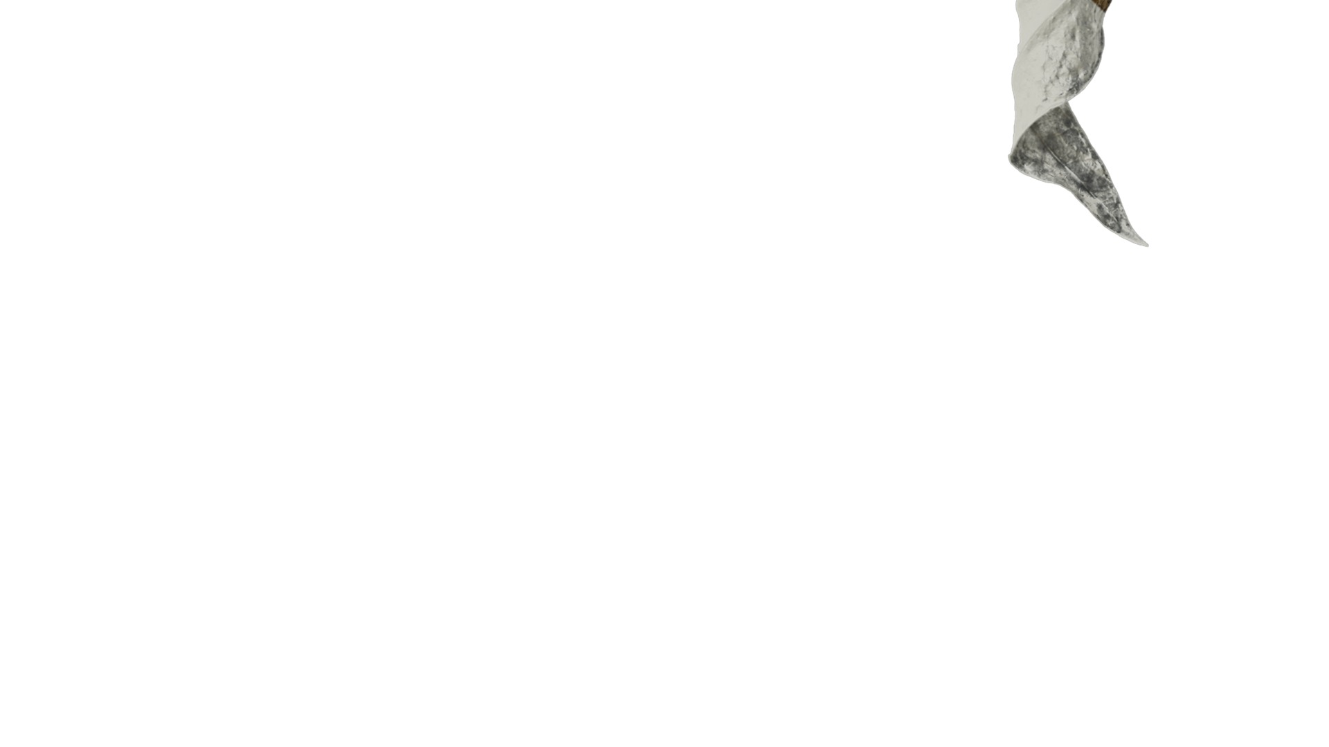 Anydrafts Dead leaves 02 Texture_4