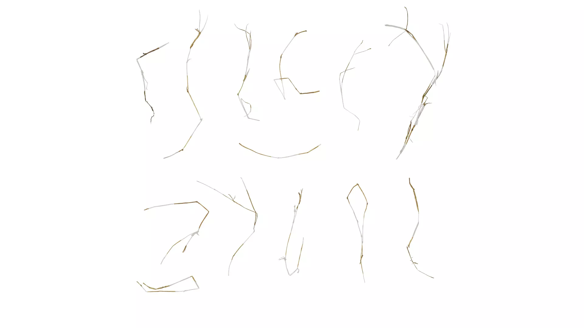 Anydrafts Dead stalks 05 Texture_0