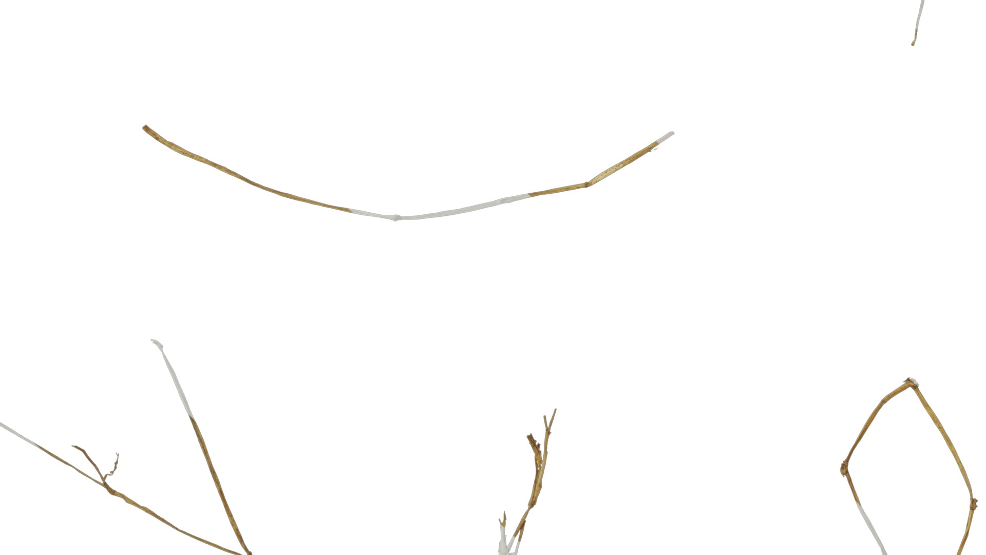 Anydrafts Dead stalks 05 Texture_7