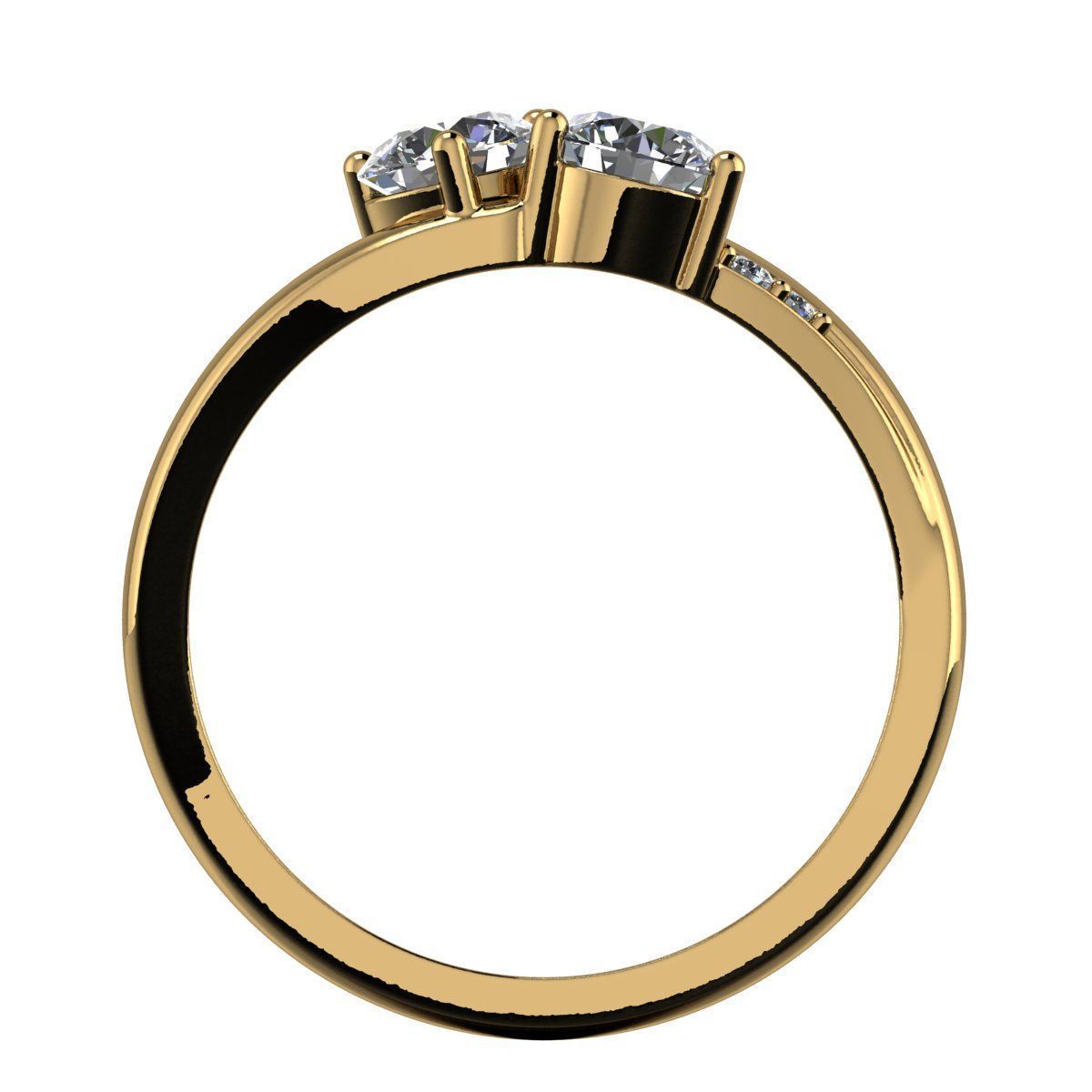 AG 2100 DUAL HEAD RING 3D print model_2