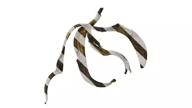 Anydrafts Banana peel 06