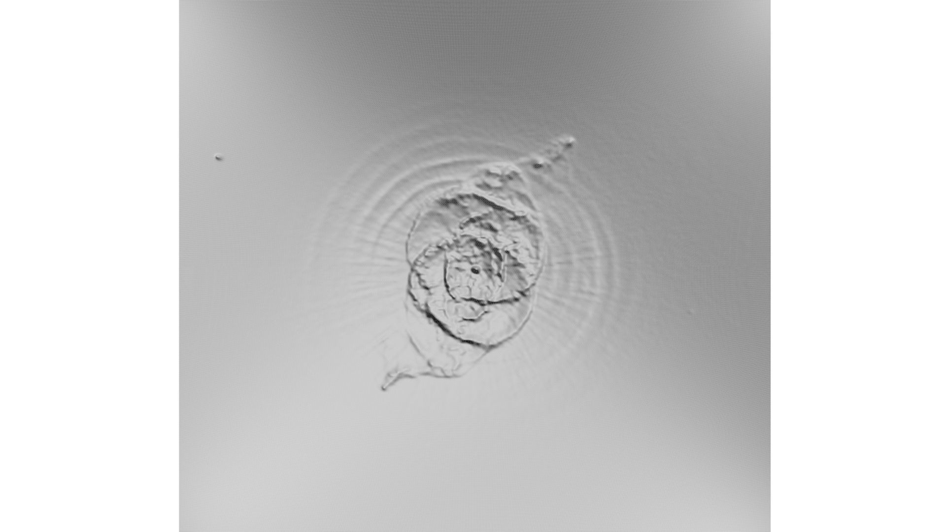 Cat Eye Nebula 3D model_11