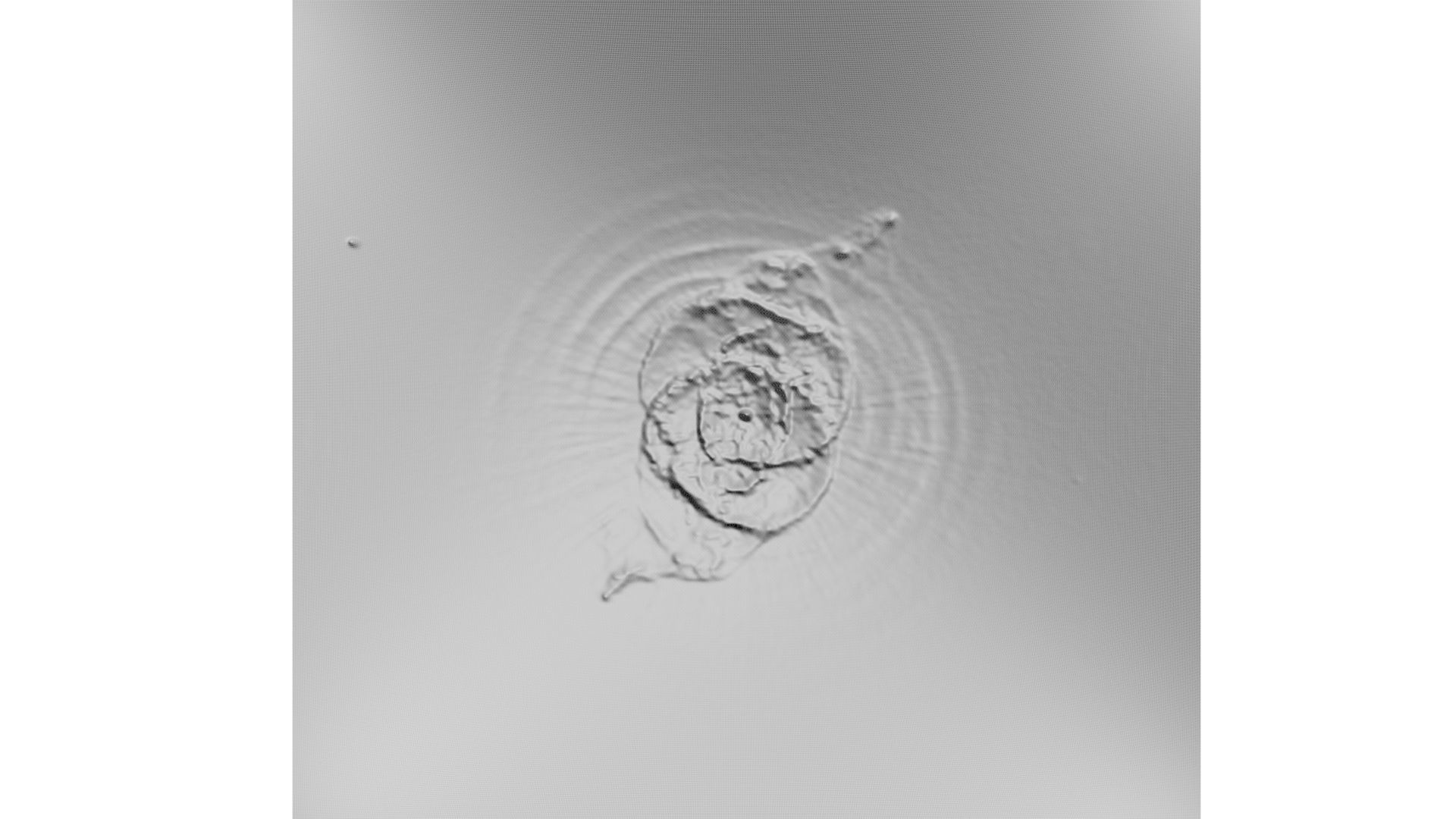 Cat Eye Nebula 3D model_6