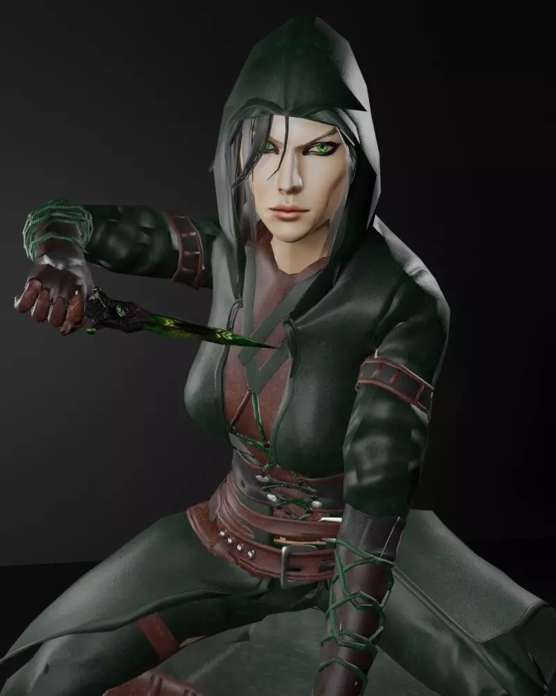 Poisoner Assassin Female Character - Fantasy 3D Model Low-poly 3D model
