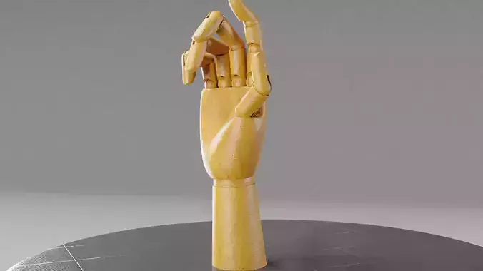 wooden hand 3d model 3D model