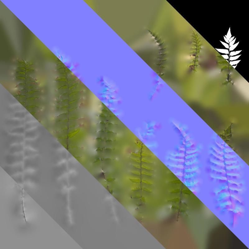 Anydrafts Cyrtomium fortunei Atlas 04 Texture_8