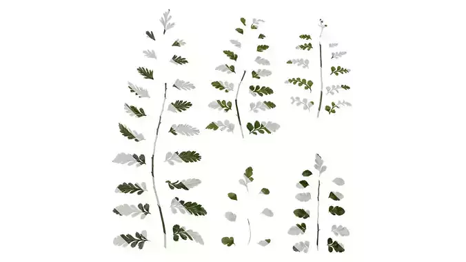 Anydrafts Davallia mariesii Leaf 01