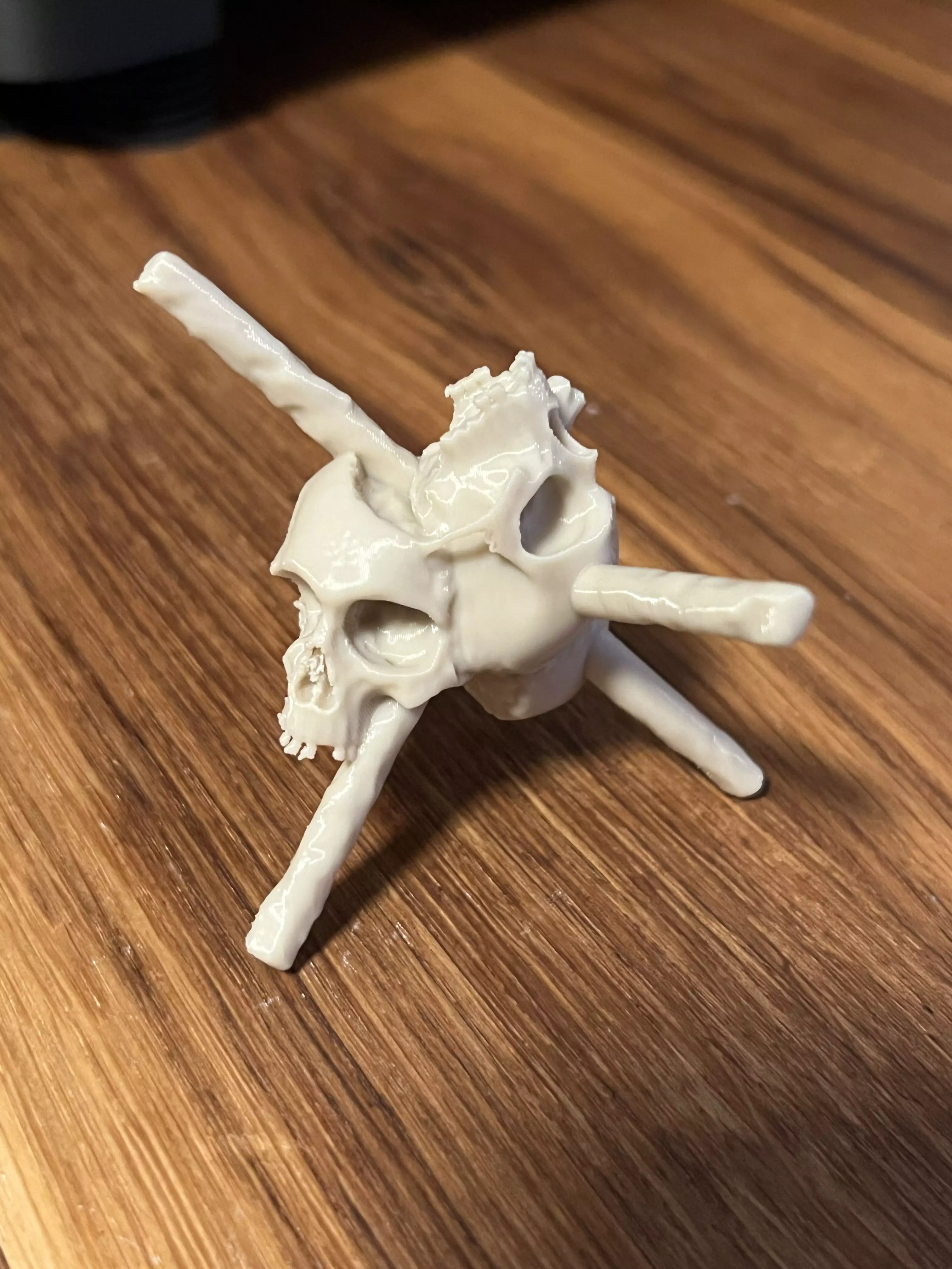 Hunt Showdown Trait Skulls and Bones 3D print model_2