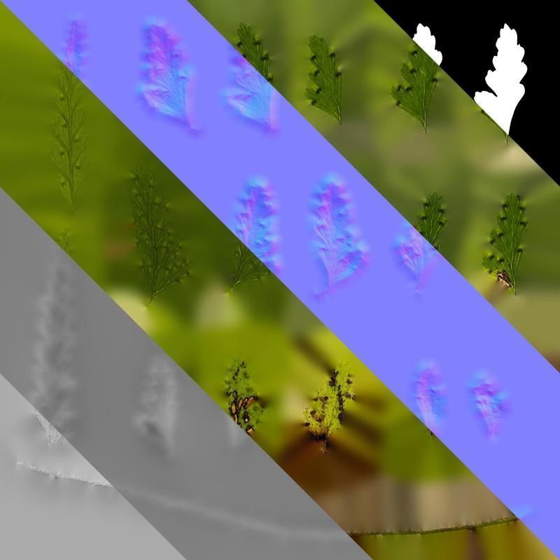 Anydrafts Dennstaedtia wilfordii Leaf 02 Texture_8