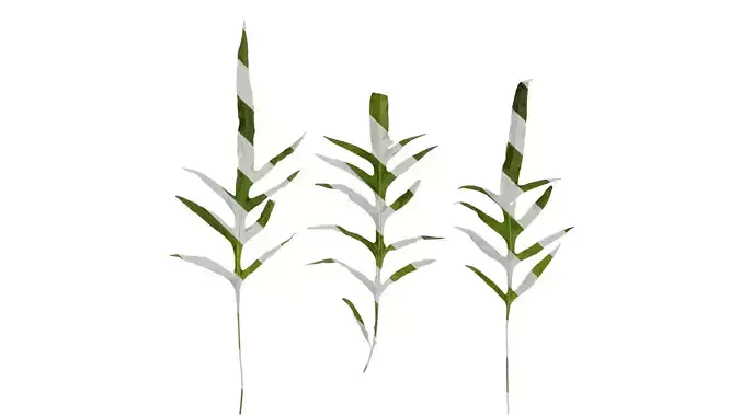 Anydrafts Drynaria roosii Leaf 01