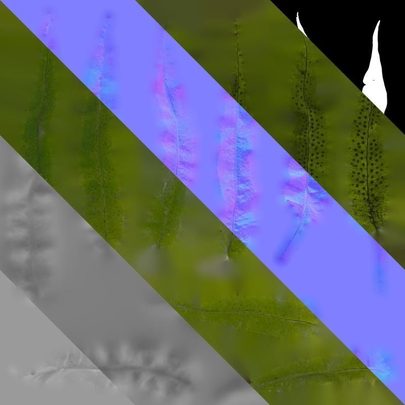 Anydrafts Neolepisorus fortunei Leaf 01 F Texture_8