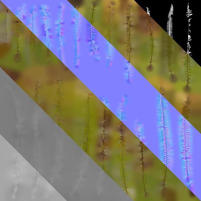 Anydrafts Nephrolepis cordifolia Atlas 01 Texture_8