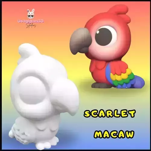 Scarlet Macaw