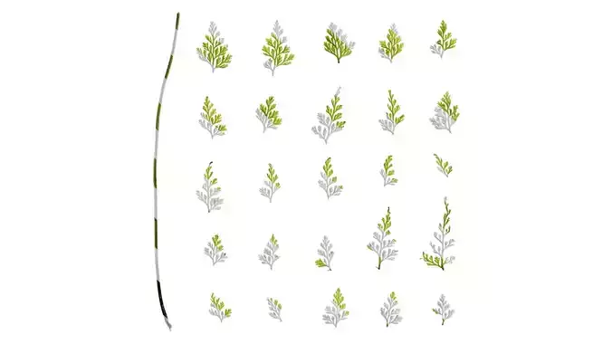 Anydrafts Odontosoria chinensis Leaf 01