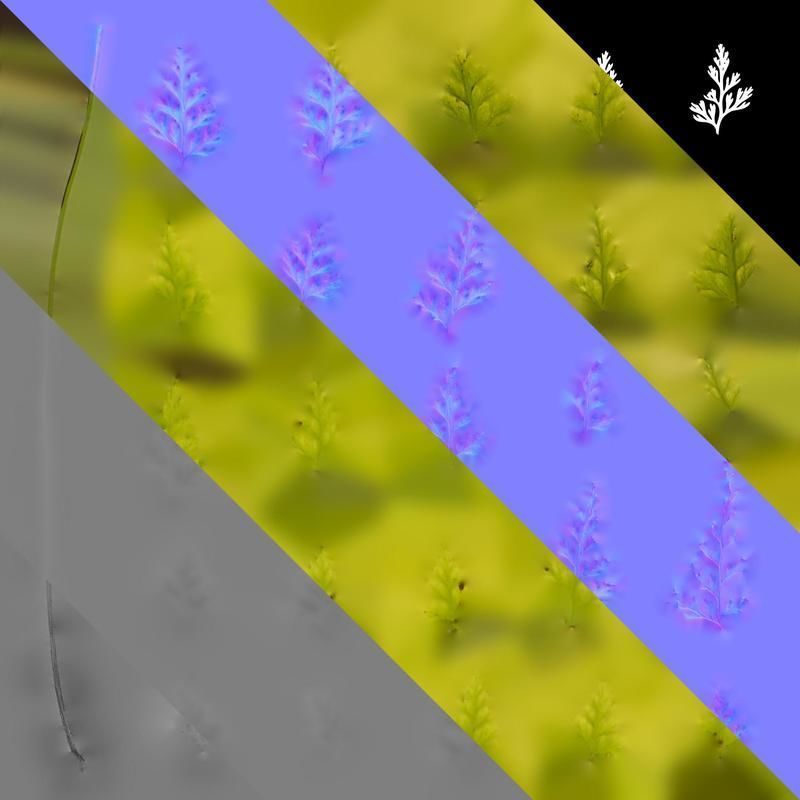 Anydrafts Odontosoria chinensis Leaf 01 Texture_8