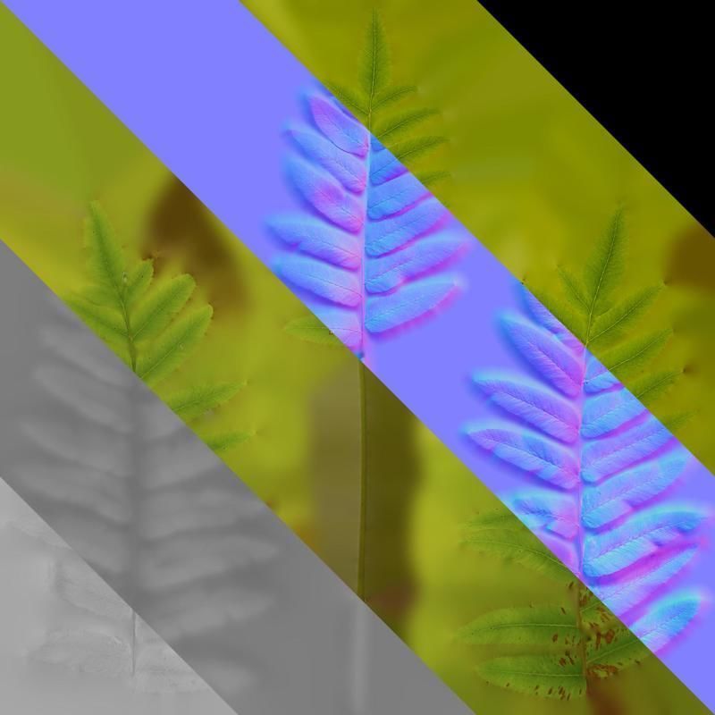 Anydrafts Osmunda japonica Atlas 02 Texture_8