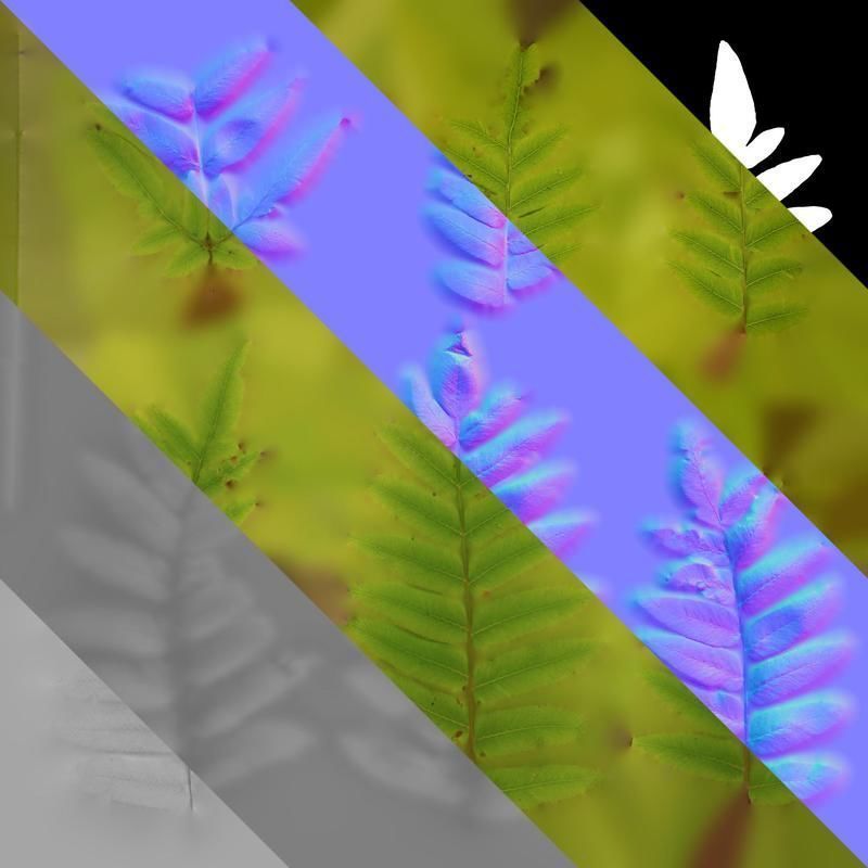 Anydrafts Osmunda japonica Atlas 03 Texture_8