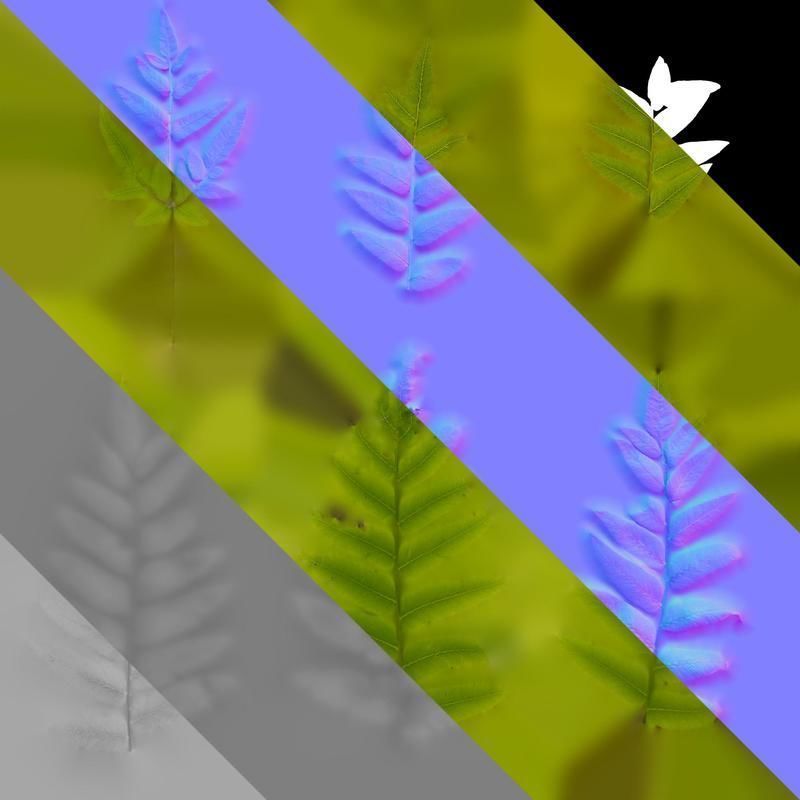 Anydrafts Osmunda japonica Atlas 04 Texture_8