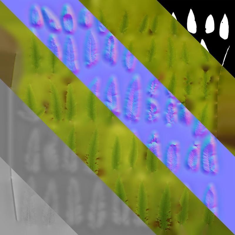 Anydrafts Osmunda japonica Leaf 01 Texture_8