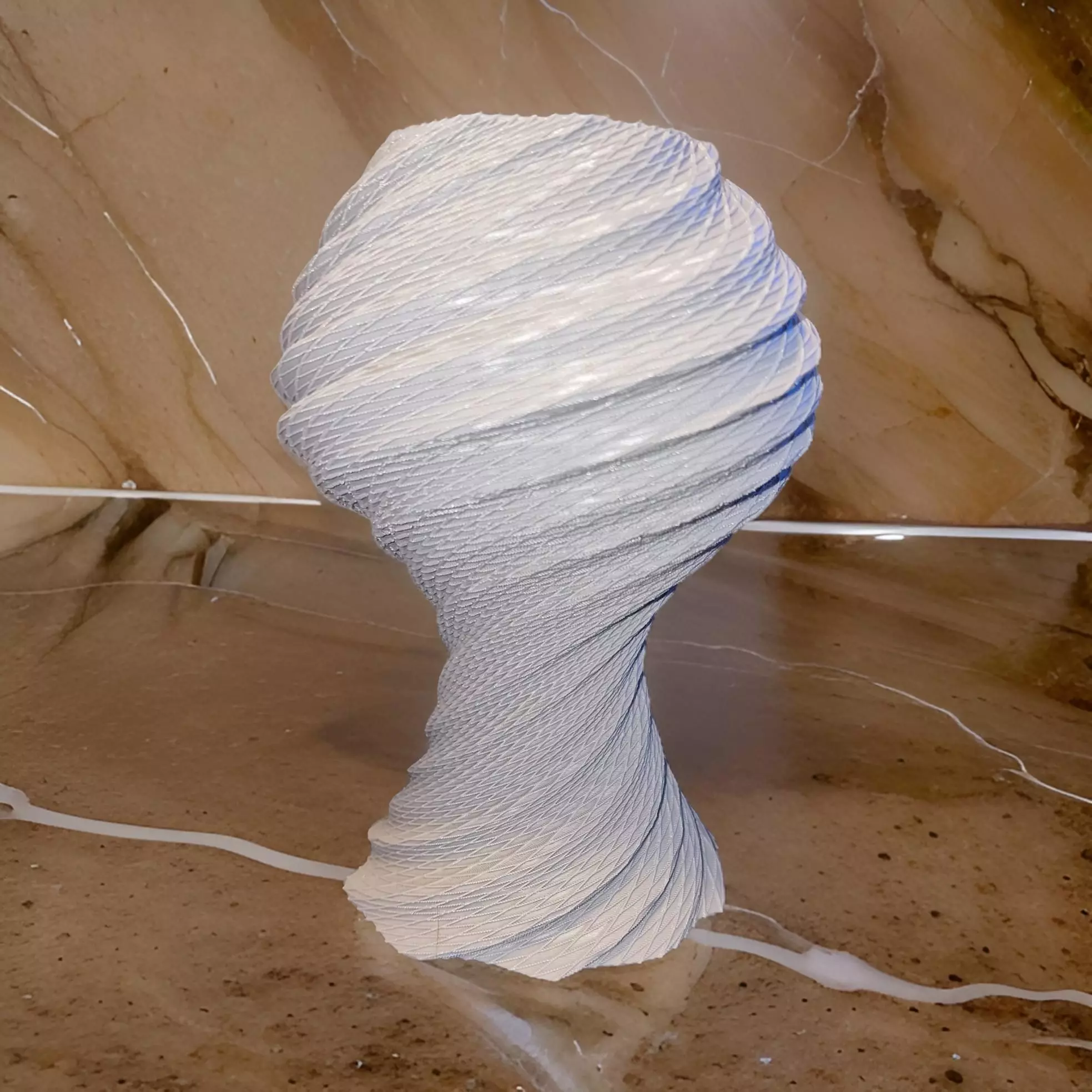 Vase Web Spider 3D print model