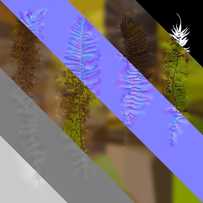 Anydrafts Pteris cretica Atlas 04 Texture_8