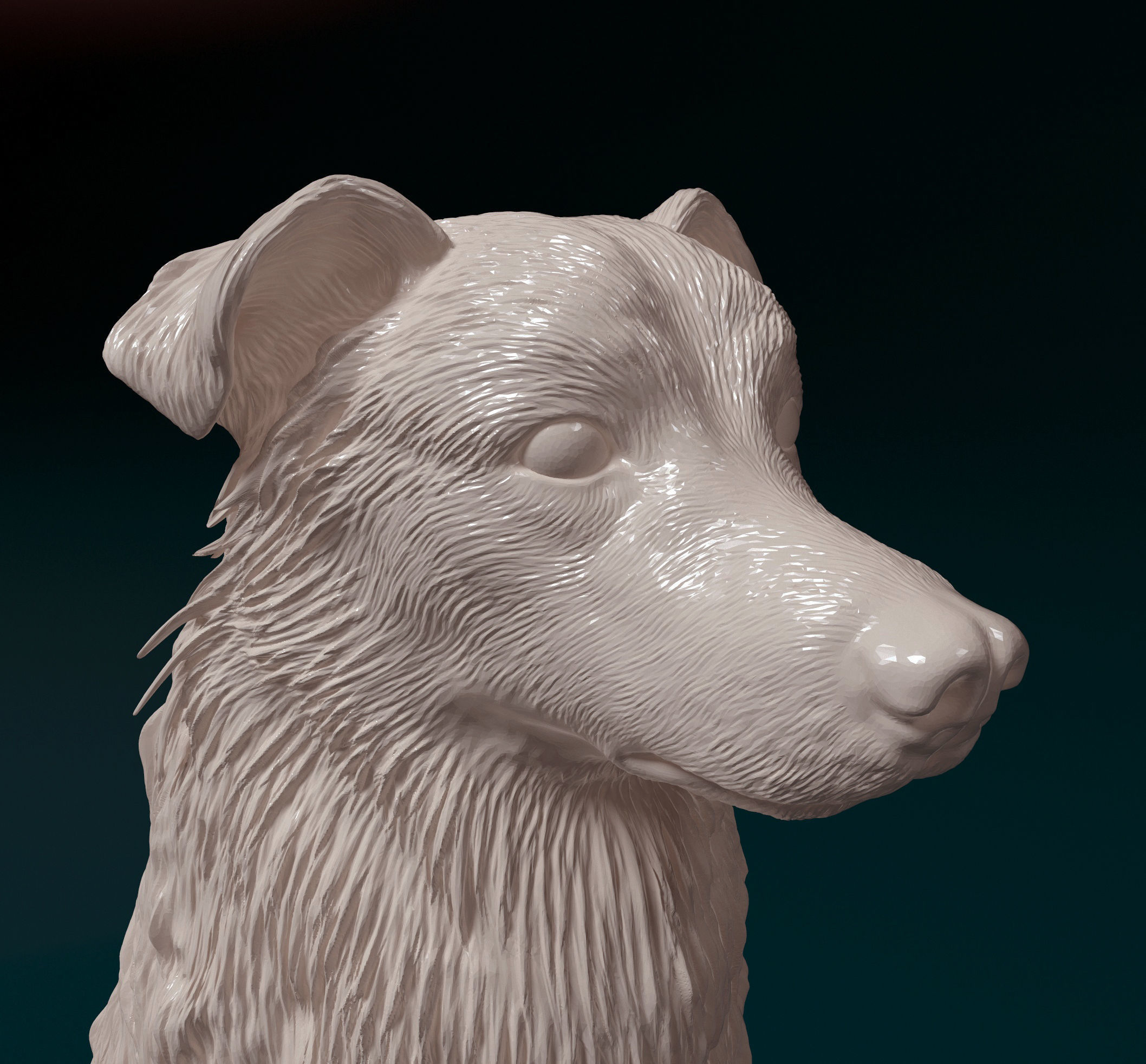 Aussie 6 3D print model_3