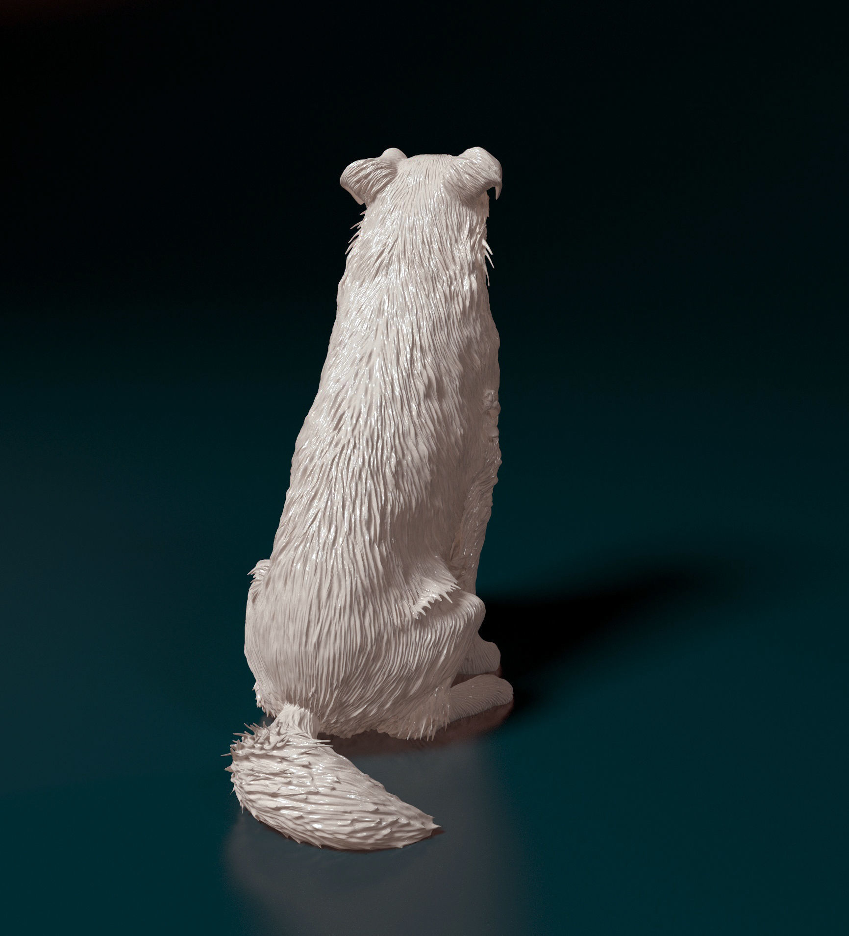 Aussie 6 3D print model_2