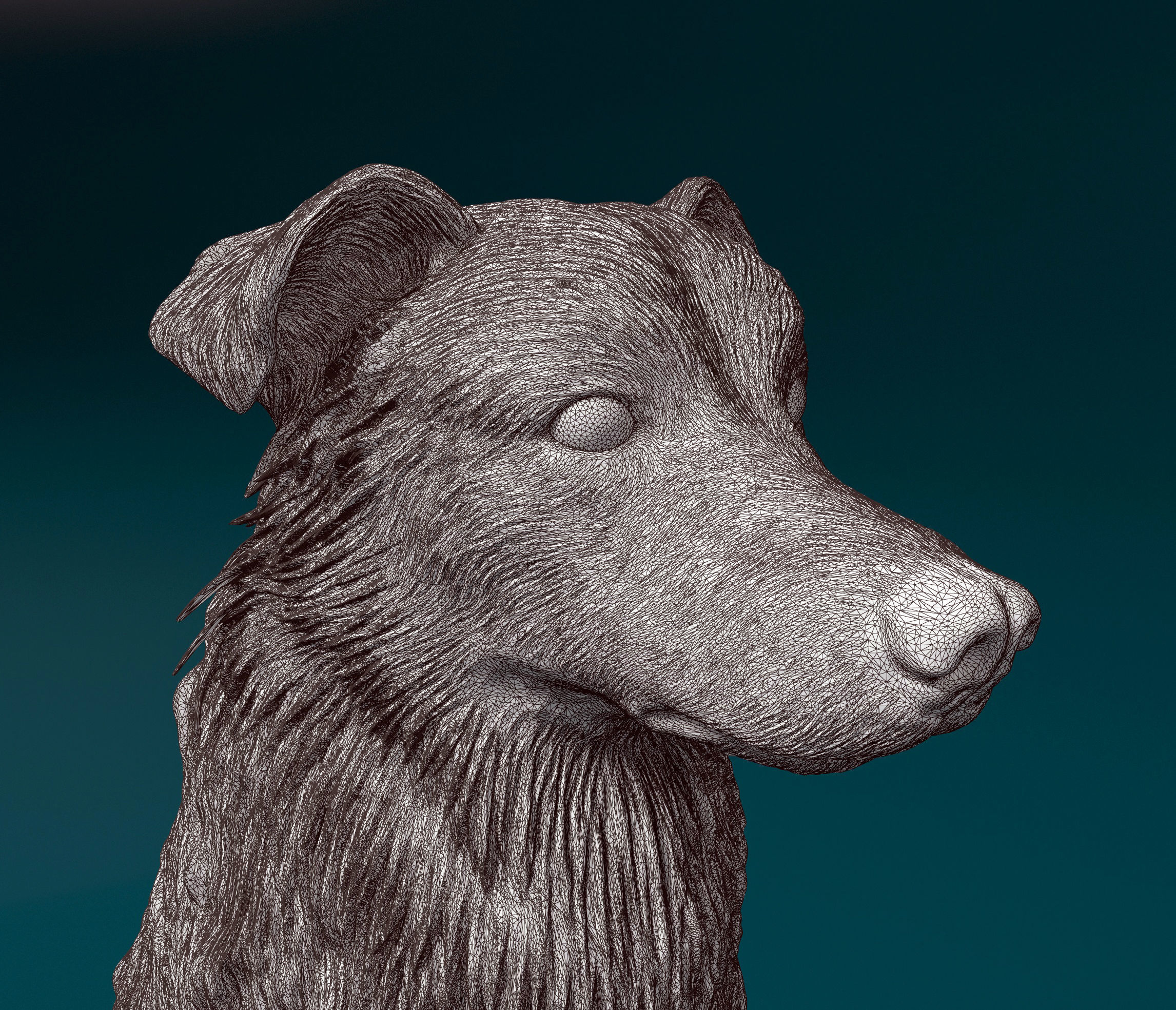 Aussie 6 3D print model_4