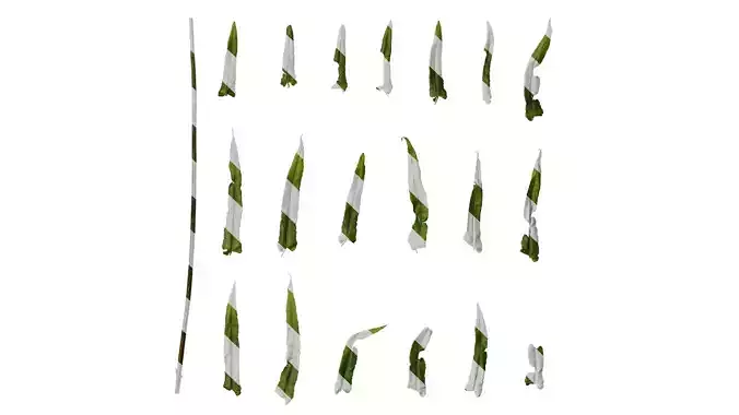 Anydrafts Pteris cretica Leaf 01