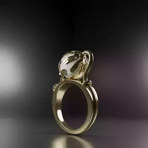 design ring 2