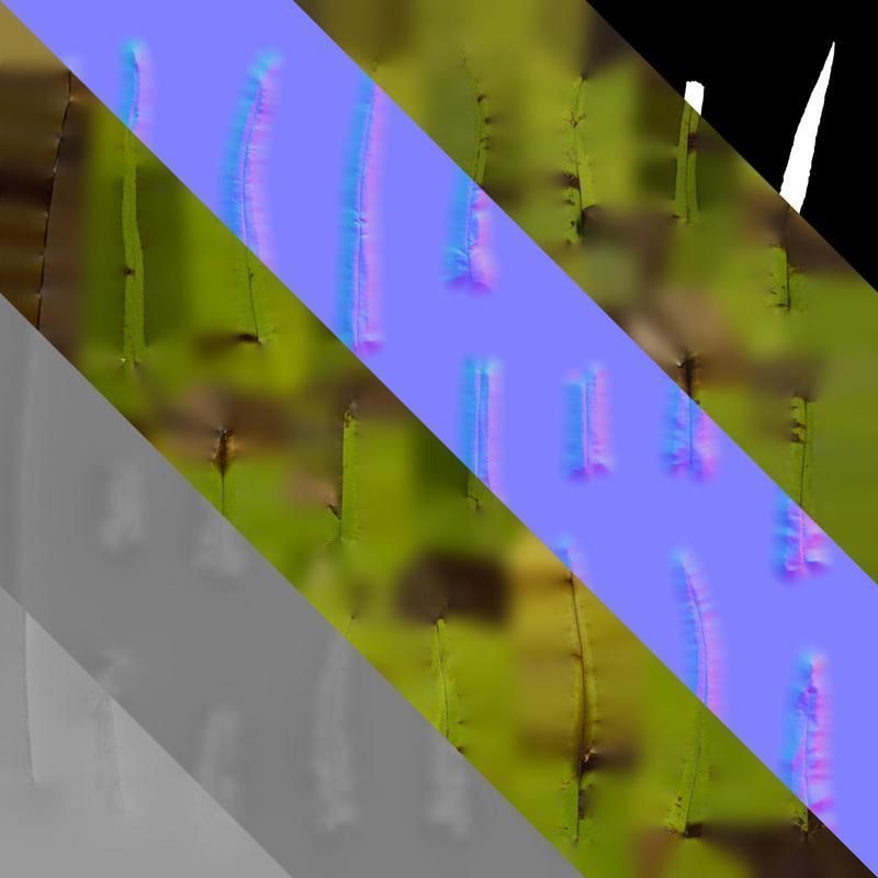 Anydrafts Pteris cretica Leaf 02 Texture_8