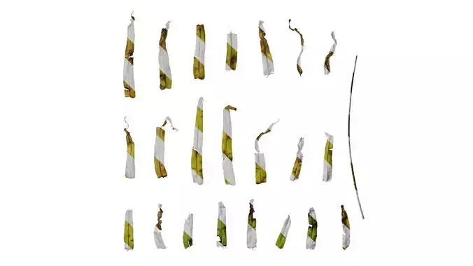 Anydrafts Pteris cretica Leaf 03