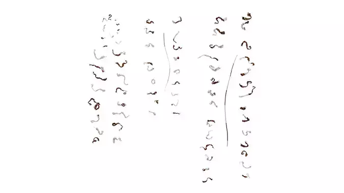 Anydrafts Pteris cretica Leaf 06