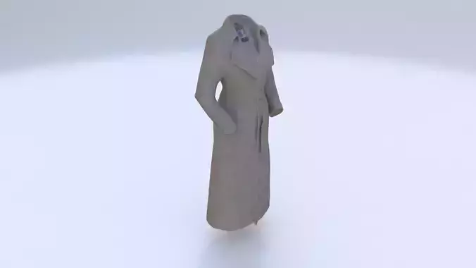 Coat 2 3D model