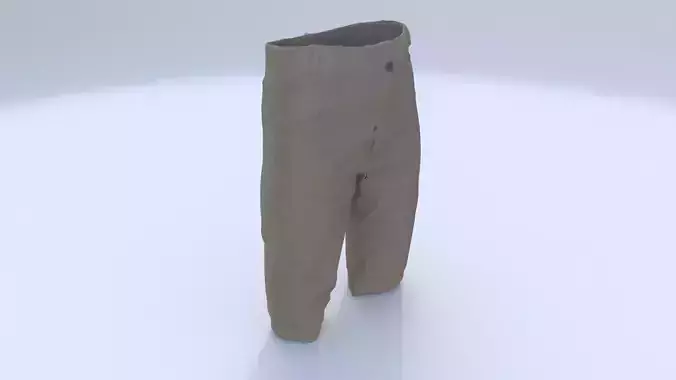 Shorts 1 3D model