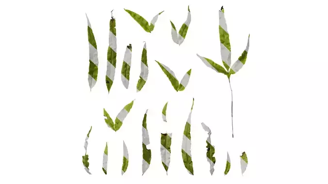 Anydrafts Pteris ensiformis Leaf 05