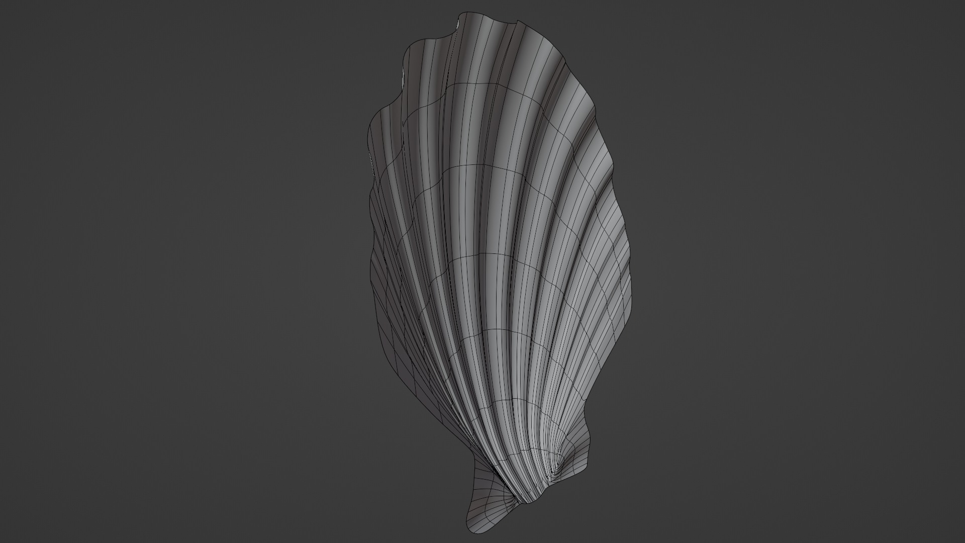 Seashell Low-poly 3D model_3